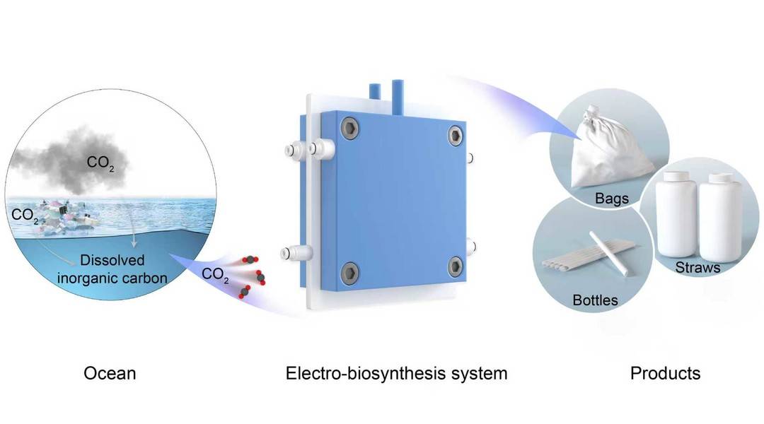 從諾獎(jiǎng)發(fā)現(xiàn)到航空貨運(yùn)革命 中國科學(xué)家用二氧化碳“變廢為寶”的綠色突破